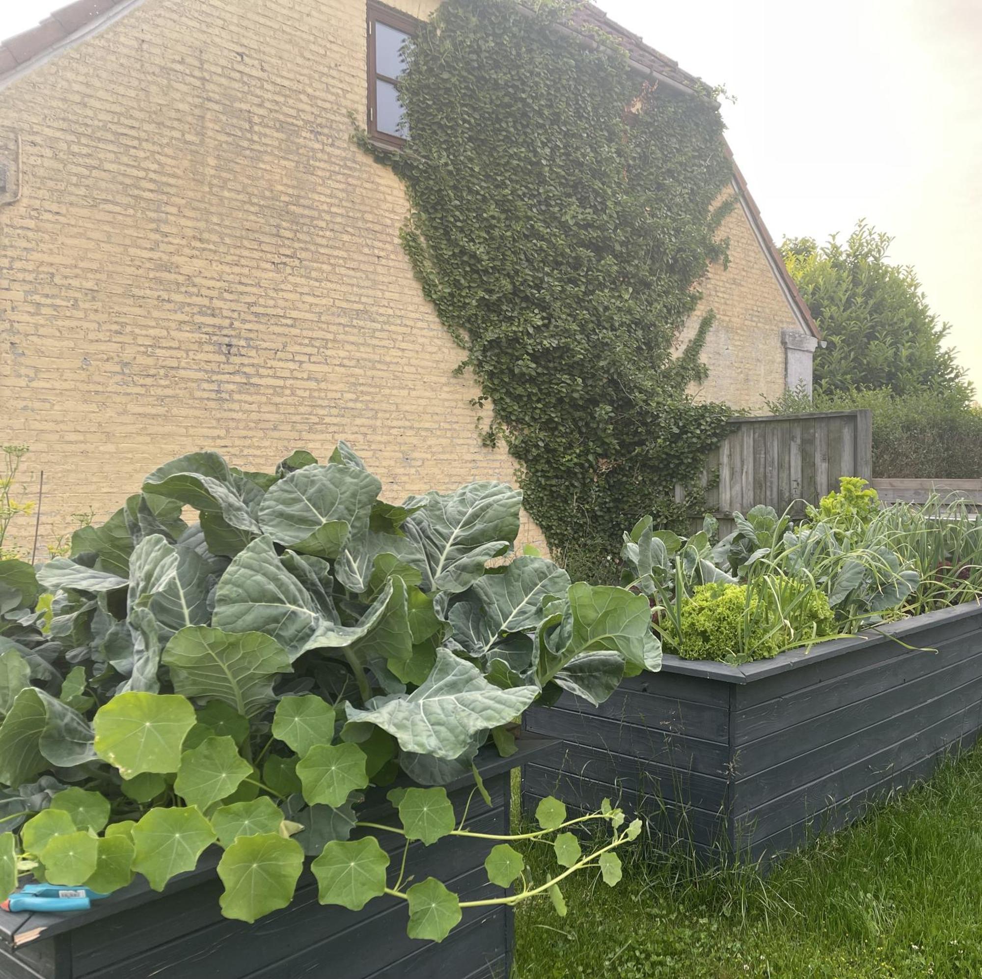 Jygge- Hyggelige Ferienwohnung Nordborg Bagian luar foto